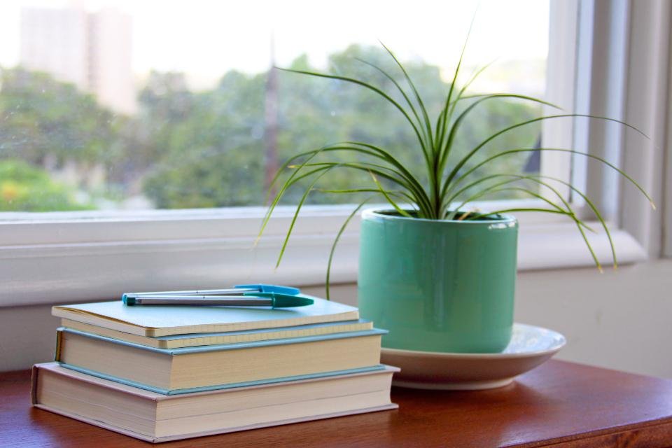 A small stack of books, a pen and a single potted plant on a wooden sill by a window
